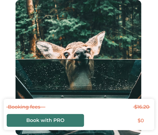 Checkout screen showing booking fees crossed out