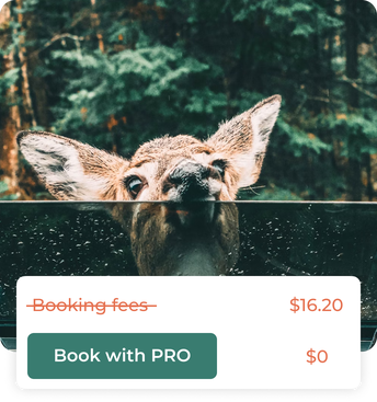 Checkout screen showing booking fees crossed out